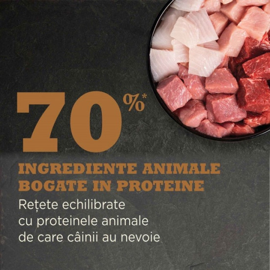 ACANA Highest Protein Ranchlands – hrană uscată fără cereale pentru câini, bogată în proteine, 11,4 kg